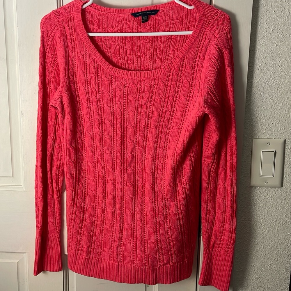 American Eagle Sweater